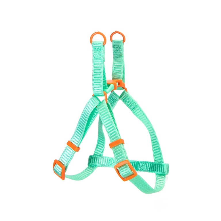 Δίχρωμο Σαμαράκι για Σκύλους W2.0*L40-60cm Medium Πράσινο/Πορτοκαλί