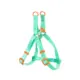 Δίχρωμο Σαμαράκι για Σκύλους W2.0*L40-60cm Medium Πράσινο/Πορτοκαλί