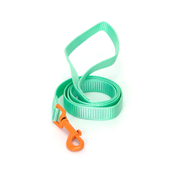Δίχρωμος Οδηγός για Σκύλους W1.0*L120cm Small Πράσινο/Πορτοκαλί