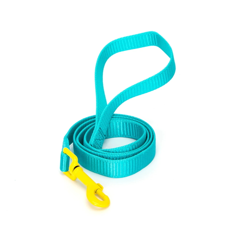 Δίχρωμος Οδηγός για Σκύλους W1.0*L120cm Small Τιρκουάζ/Κίτρινο