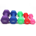 Βαράκι Γυμναστικής Neopren 5kg Μωβ
