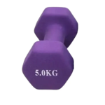 Βαράκι Γυμναστικής Neopren 5kg Μωβ