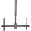 50kg