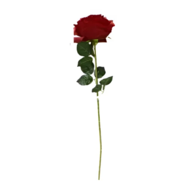 Διακοσμητικό Τεχνητό Λουλούδι 75cm 85502 Κόκκινο