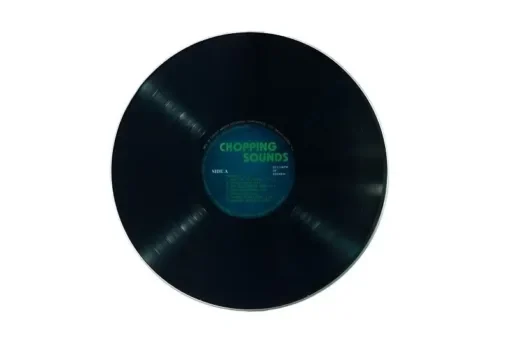 Gadget Master Επιφάνεια κοπής σε σχήμα δίσκου βινυλίου