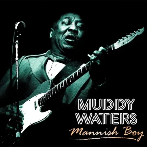 ΒΙΝΥΛΙΟ Muddy Waters - Mannish Boy LP CL80918