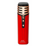 Ασύρματο Μικρόφωνο Karaoke WS-838