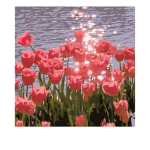 Εκπαιδευτικό Digital Painting 20x20cm YH-20040 πολύχρωμο