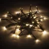 Nordic Home Λαμπάκια γιρλάντα 40 LED θερμό λευκό φως με μαύρο καλώδιο 5m LGT-107