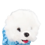 Λούτρινο Σκυλάκι που Περπατάει & Γαβγίζει με Λουράκι - Μπλε