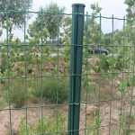 Συρματόπλεγμα Γαλβανιζέ με Επικάλυψη PVC Πράσινο 2912618