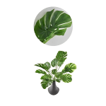 Τεχνητό Διακοσμητικό Κλαδί Monstera 73cm 80982