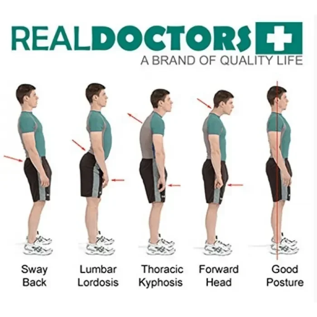 Σύστημα Στήριξης Πλάτης NY-10 Real Doctors – Μαγνητική Τεχνολογία (small έως 3xl) - Image 5