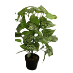 Τεχνητό Διακοσμητικό Φυτό Calathea Musaica 65cm σε Γλάστρα 667208
