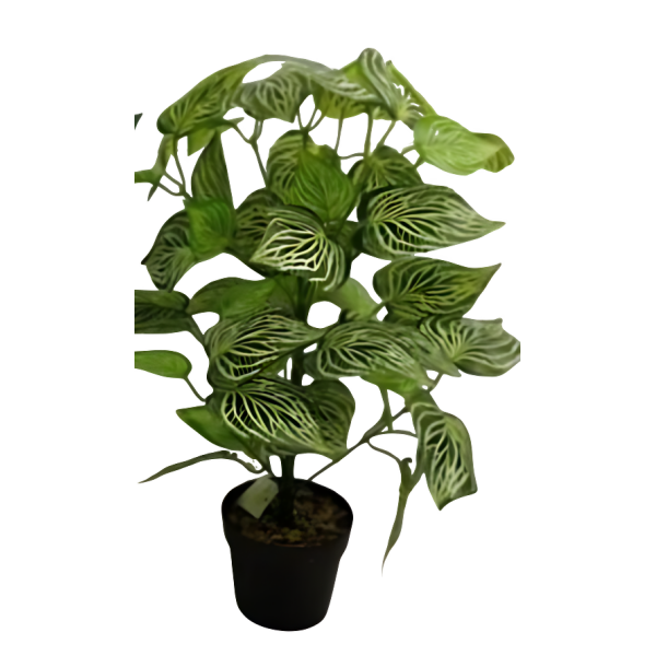 Τεχνητό Διακοσμητικό Φυτό Calathea Musaica 65cm σε Γλάστρα 667208