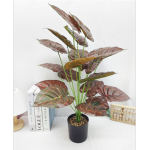 Τεχνητό Διακοσμητικό Φυτό Calathea σε Γλάστρα 667002