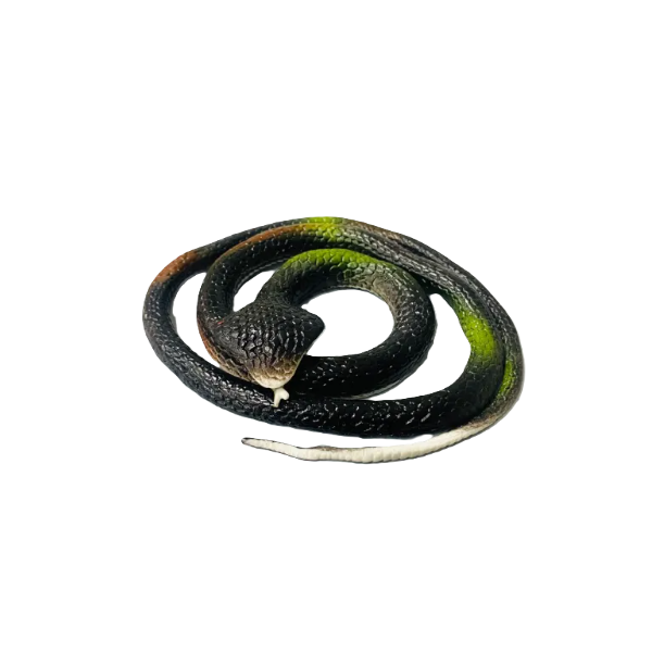 Ψεύτικο Παιχνίδι Φιδάκι Fake Snake - Μαύρο