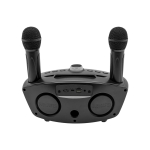 Ασύρματο Bluetooth Φορητό Ηχείο και Karaoke 2x3" με 2 Μικρόφωνα και Θύρες USB/TF/AUX SD-306S