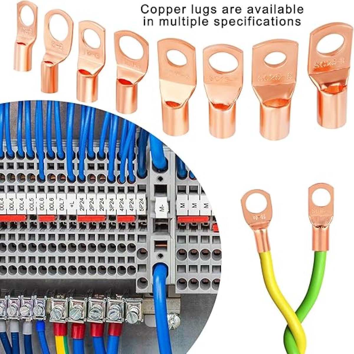 Features: - Color: Copper - Material: Tin Plated Copper - Ring terminals are made of 100% annealed electrolytic grade copper for maximum conductivity, with tinned surface for corrosion protection. - Closed end design seals out moisture so cables stay dry and corrosion free - Wire & Stud Sizes Stamped on the Pad - Widely used in household appliances, automobiles, electrical industry, mechanical equipment, power distribution cabinets, etc Package Include: SC6-6: 10 PCS SC6-8: 10 PCS SC10-6: 10 PCS SC10-8: 10 PCS SC16-6: 5 PCS SC16-8: 5 PCS SC25-6: 5 PCS SC25-8: 5 PCS Red Heat Shrink Tubing f7mm*45mm 20PCS Black Heat Shrink Tubing f7mm*45mm 20PCS Red Heat Shrink Tubing f10mm*45mm 10PCS Black Heat Shrink Tubing f10mm*45mm 10PCS