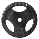 Ελεύθερα Βάρη Δίσκος Σφυρήλατος Ø29 (5 kg)