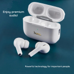 Ασύρματα Ακουστικά Bluetooth In-ear Με Θήκη Φόρτισης Hoco EW56 Plus