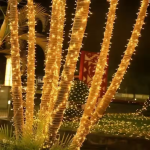 Χριστουγεννιάτικα Ηλιακά Λαμπάκια 50LED 2.5m Λευκού Θερμού Φωτισμού 299033 - Image 2
