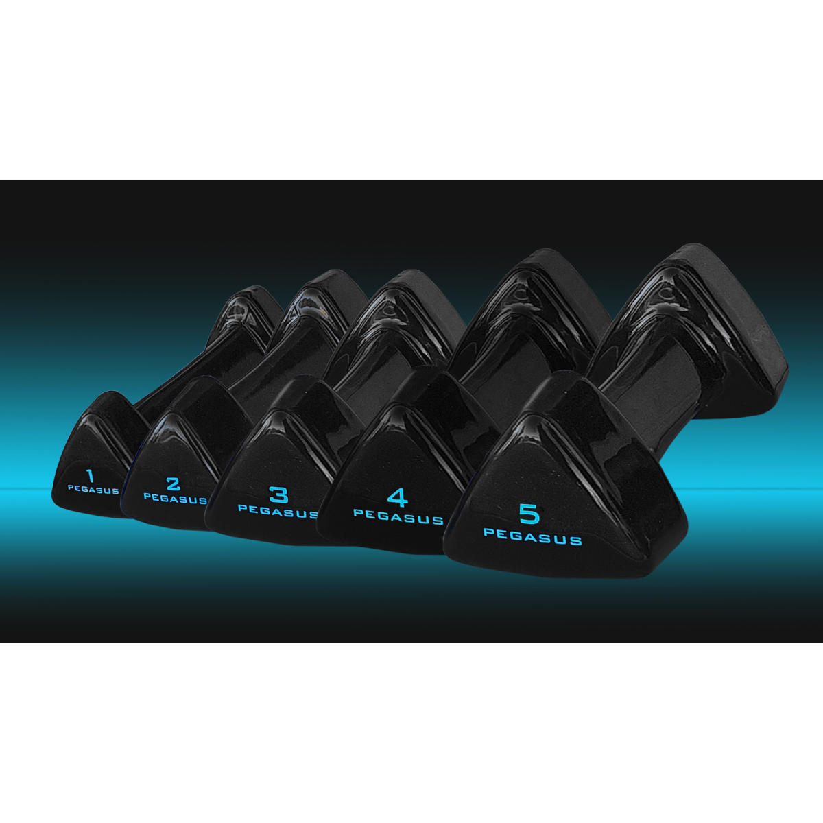Pegasus® Τρίγωνος Αλτήρας Vinyl 1kg PG-1005 - Image 2