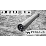 Pegasus Ολυμπιακή μπάρα 2200mm*28mm (42 CRMO/20kg) - Image 5