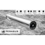 Pegasus Ολυμπιακή μπάρα 2000mm*28mm (15.4kg) - Image 6