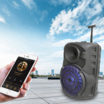 Ασύρματο Karaoke Ηχείο ZQS-15101 15" 40W με Μικρόφωνο, FM Radio & Remote Control