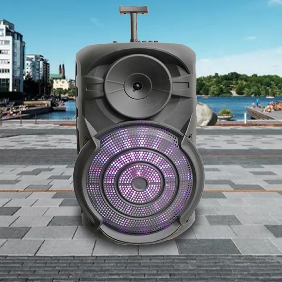 Ασύρματο Karaoke Ηχείο ZQS-15101 15" 40W με Μικρόφωνο, FM Radio & Remote Control
