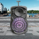 Ασύρματο Karaoke Ηχείο ZQS-15101 15" 40W με Μικρόφωνο, FM Radio & Remote Control