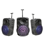 Ασύρματο Karaoke Ηχείο ZQS-15101 15" 40W με Μικρόφωνο, FM Radio & Remote Control