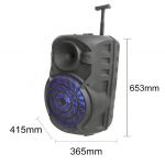 Ασύρματο Karaoke Ηχείο ZQS-15101 15" 40W με Μικρόφωνο, FM Radio & Remote Control