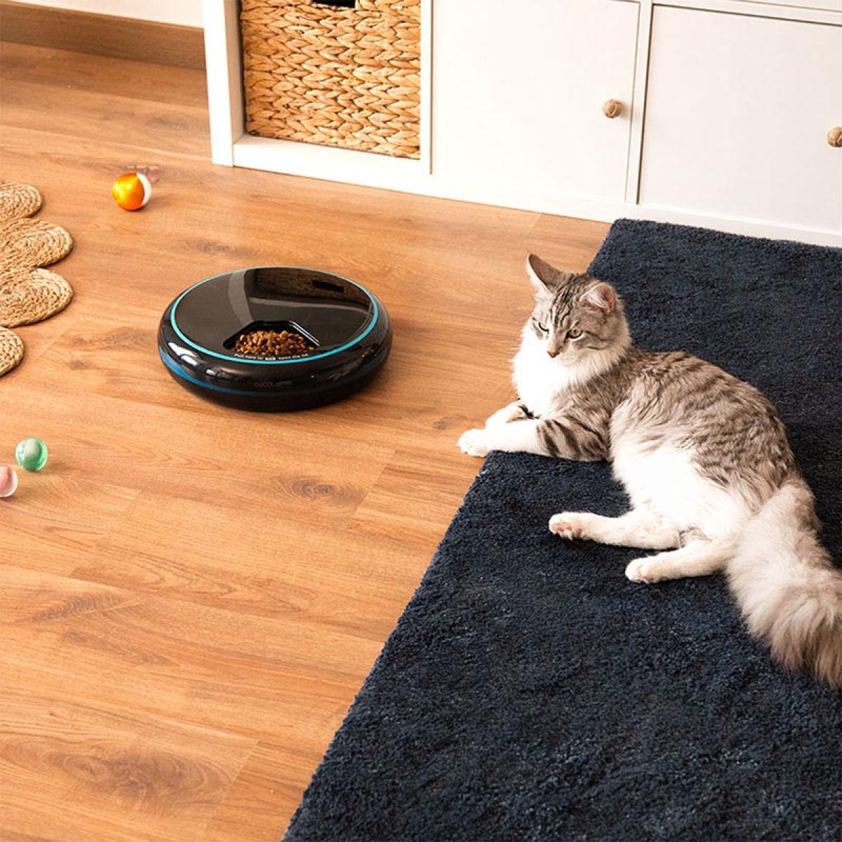 CECOTEC Pumba 1600 Purrfect Meal CEC-09562 Αυτόματη Ταΐστρα Κατοικιδίων 1.6L - Image 5