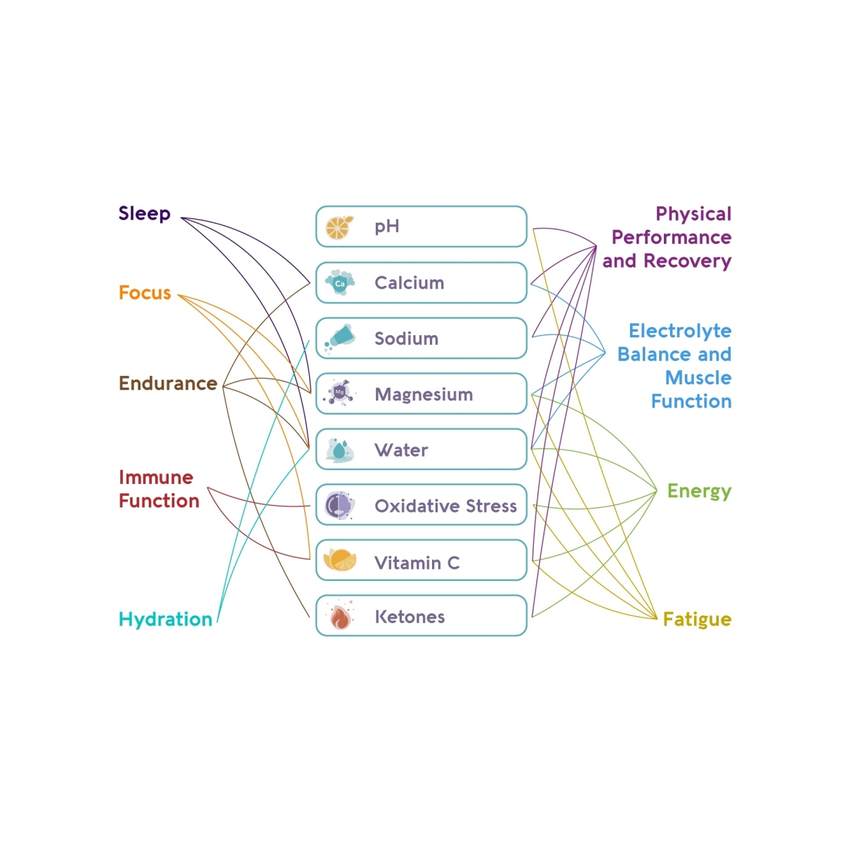 Vivoo Τεστ Ευεξείας Σετ 1 Month Pack με 4 Strips 1-MONTH_NL - Image 4