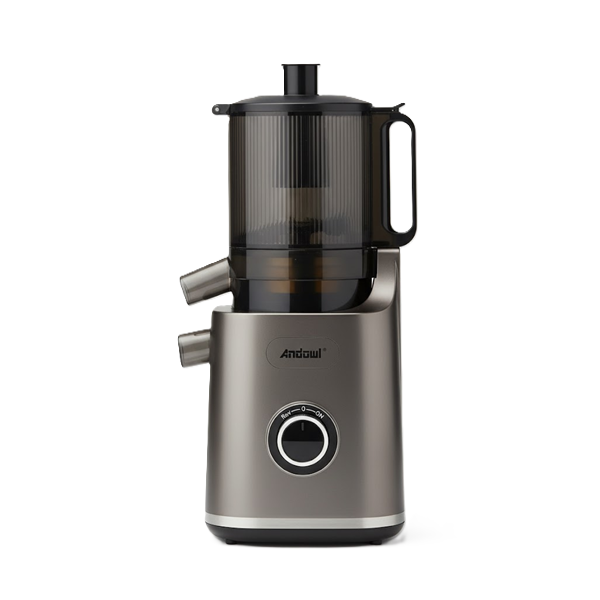 Ηλεκτρικός Αποχυμωτής Φρούτων 600ml 1000W Andowl Γκρι