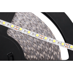 Rebel Ταινία LED ψυχρό λευκό 12V 25m LED0172 - Image 2