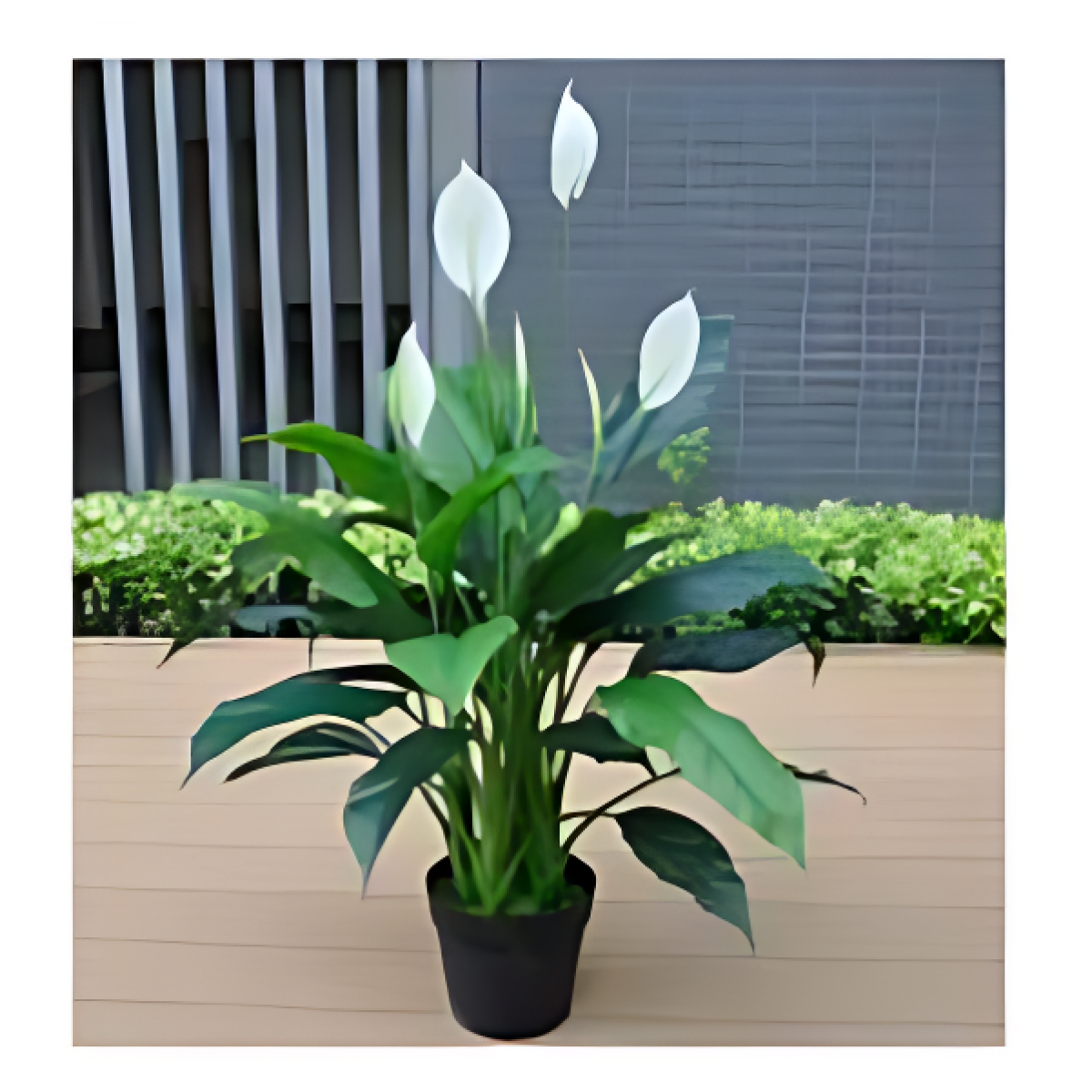 Τεχνητό Διακοσμητικό Φυτό Spathiphyllum 110cm Σε Γλάστρα 86926