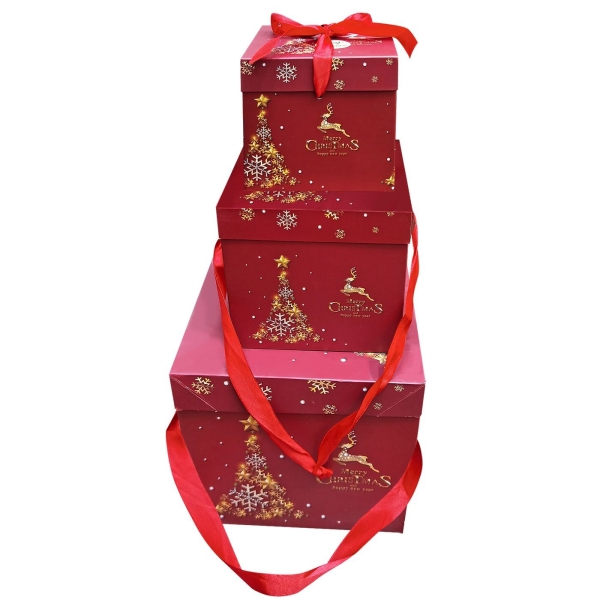 Κουτιά Χάρτινα Merry Chrismas σετ=3 τεμ 10x10x10cm 15x15x15cm 20x20x20cm Xmasfest 1133755 - 1 τμχ