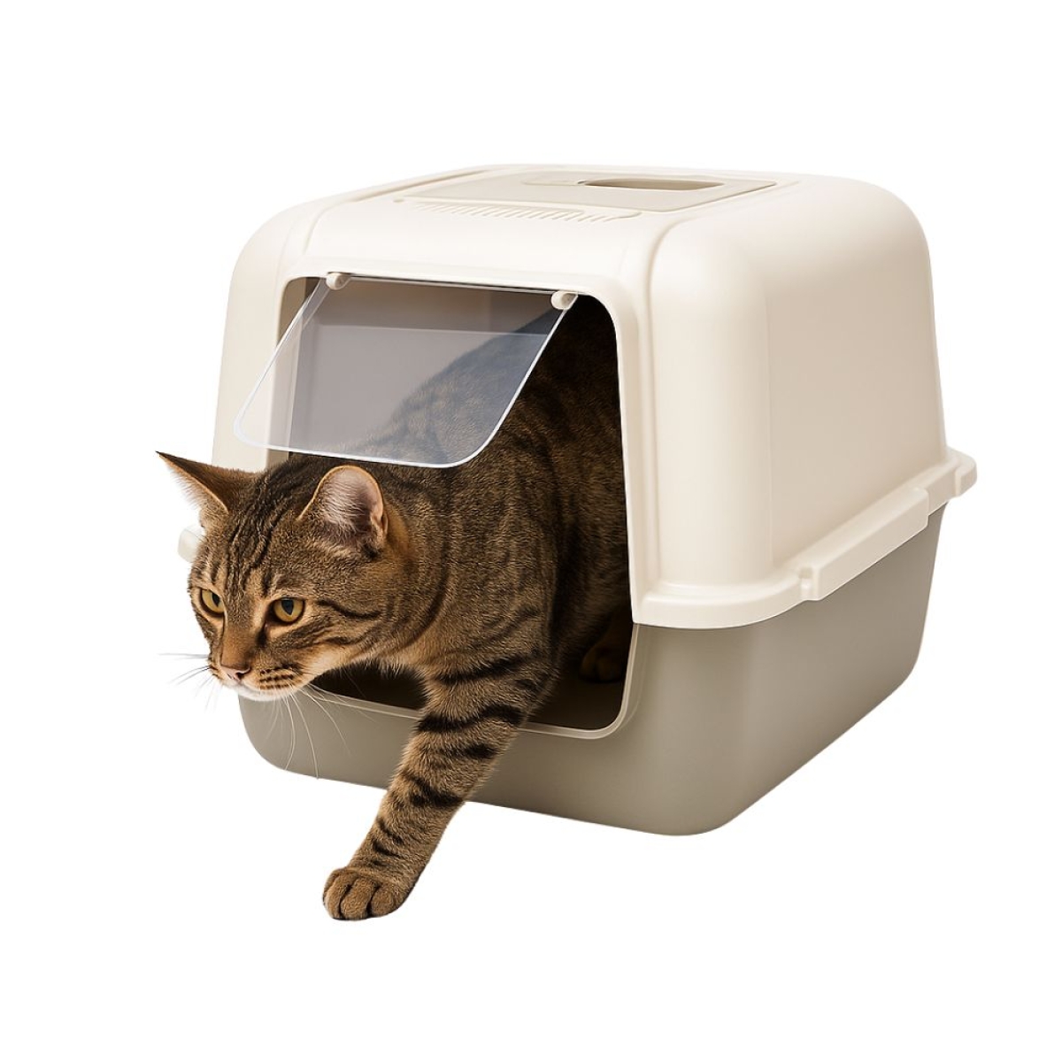 Τουαλέτα Γάτας Κλειστή Πράσινη Μ52xΠ43xΥ50cm – 990001