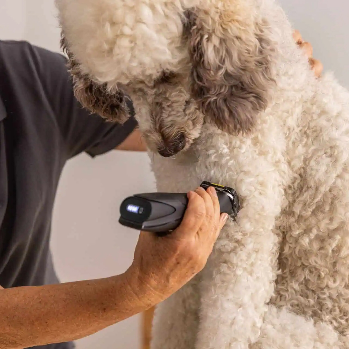 WAHL PET - MAXGO 1263-0472 - Μαύρο - Image 4