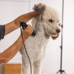 Wahl Pet Max50+ 1251-0472 Επαγγελματική Κουρευτική Μηχανή Κατοικιδίων Μαύρη - Image 3
