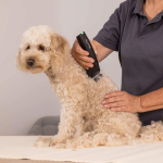 Wahl Pet ArcoPro 1876-0472 Επαναφορτιζόμενη Κουρευτική Μηχανή Κατοικιδίων Μαύρη - Image 3