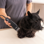 Wahl Pet Rex 1230-0477 Κουρευτική Μηχανή Κατοικιδίων με Καλώδιο Μαύρη - Image 4