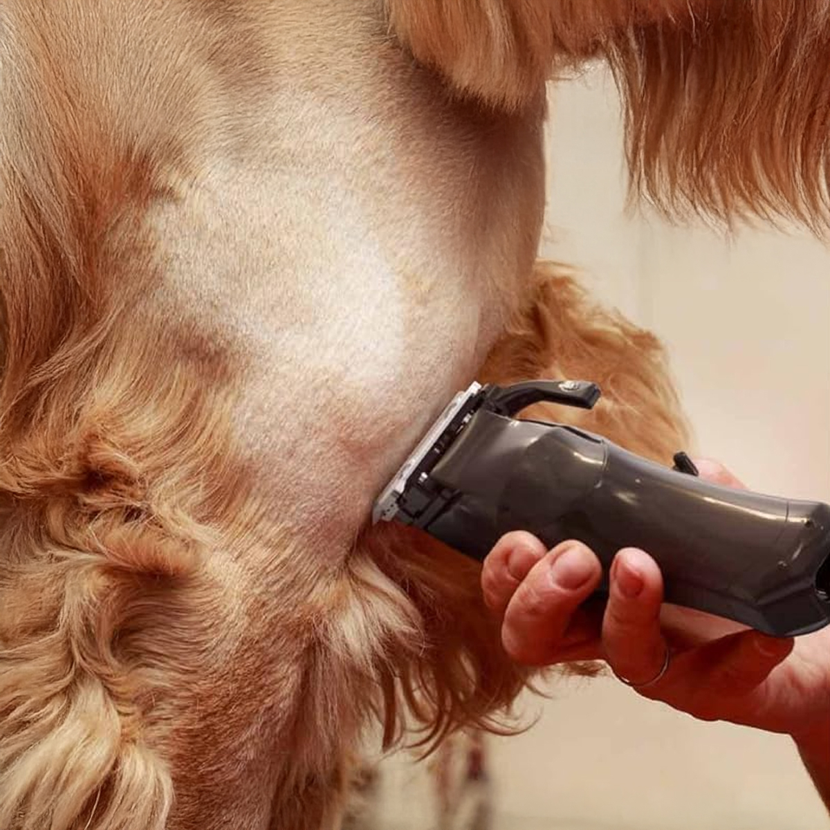 Wahl Pet Colour Pro 3027682 Κουρευτική Μηχανή Κατοικιδίων Μαύρη - Image 4