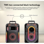 Φορητό Ηχείο Bluetooth 10" Με RGB Φωτισμό & Ασύρματο Μικρόφωνο ABS-10101 - Image 6