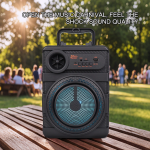 Φορητό Ηχείο Bluetooth 6,5" Με Ασύρματο Μικρόφωνο ZQS6168W - Image 4