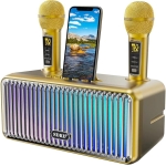 Φορητό Ηχείο Karaoke Bluetooth Με 2 Ασύρματα Μικρόφωνα & LED Φωτισμό SD-319P