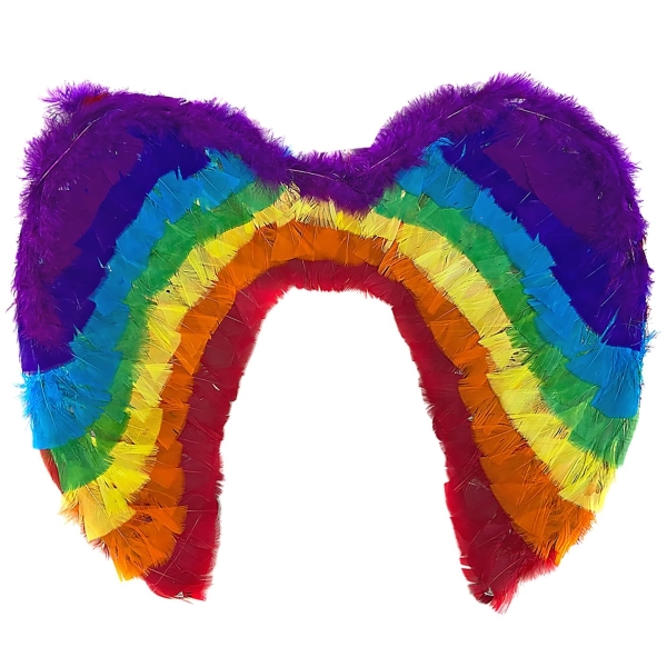 Φτερά Πολύχρωμα 50x35cm Carnavalista 232261 - 1 τμχ